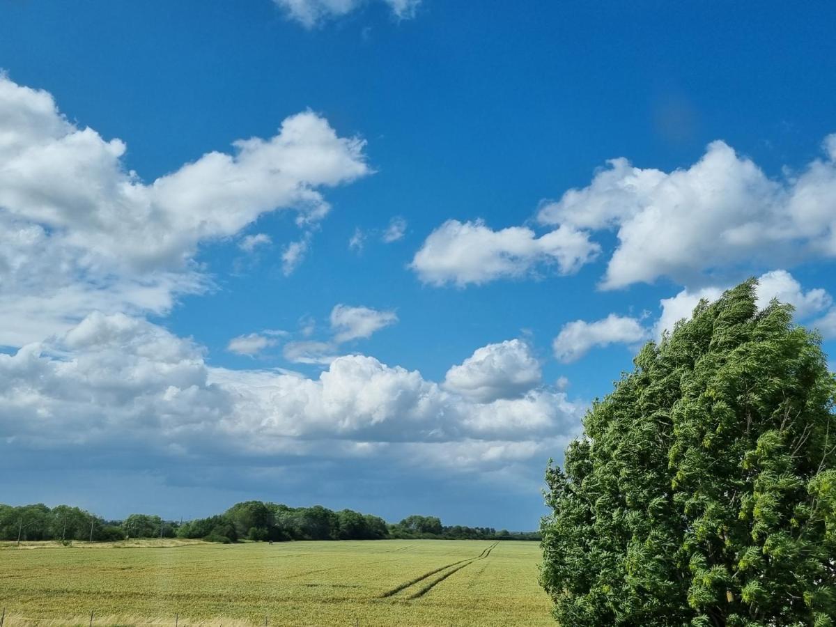 Scheune In Ostseenaehe Auch Mit Pferd Ducherow Exteriör bild